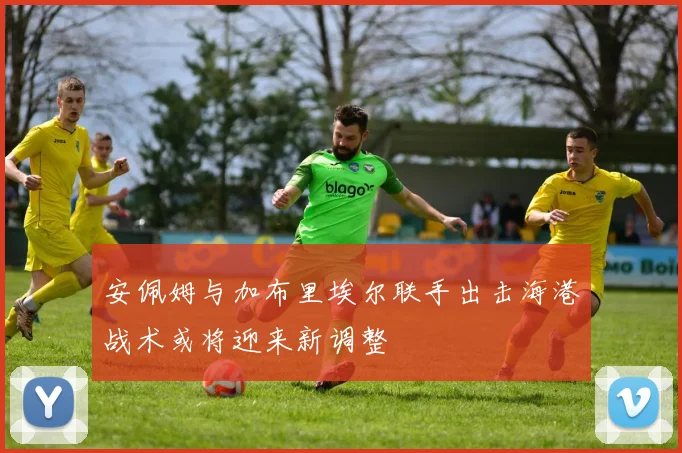 安佩姆与加布里埃尔联手出击海港战术或将迎来新调整
